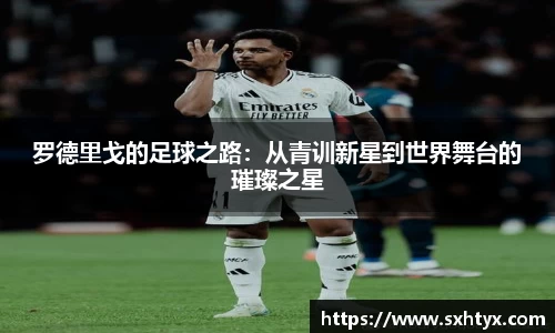 万博max平台
