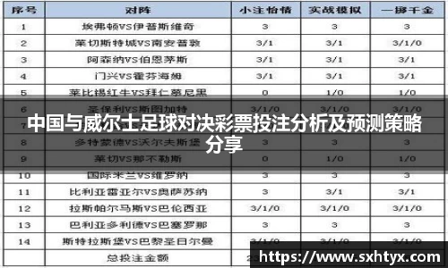 中国与威尔士足球对决彩票投注分析及预测策略分享