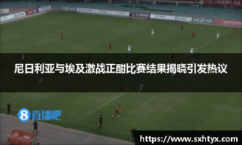 尼日利亚与埃及激战正酣比赛结果揭晓引发热议
