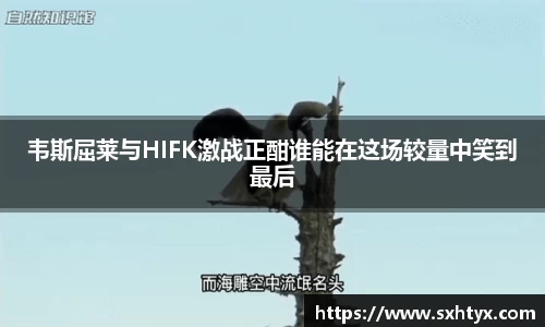 万博max官网
