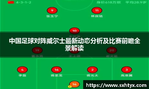 中国足球对阵威尔士最新动态分析及比赛前瞻全景解读