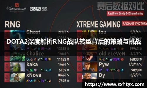 DOTA2深度解析RNG战队转型背后的策略与挑战